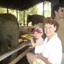 Richard & Nadya's Family, Cambridge, England Reviews GreatAuPair for their aupair job in Cambridge
